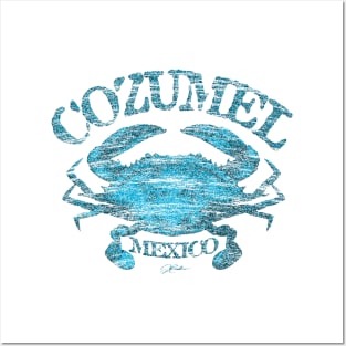 Cozumel, Mexico, Atlantic Blue Crab Posters and Art